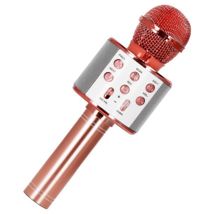Microfon karaoke copii
