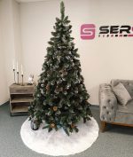 Lidia Nins cu conuri