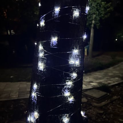 100 LED-uri