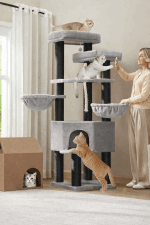 stalpi sisal
