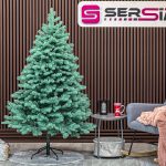 3D